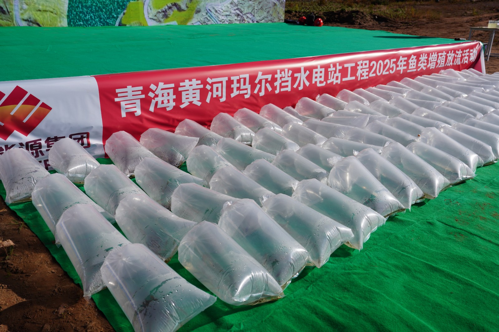 cc49196398d84ed90102b019ff9d36f